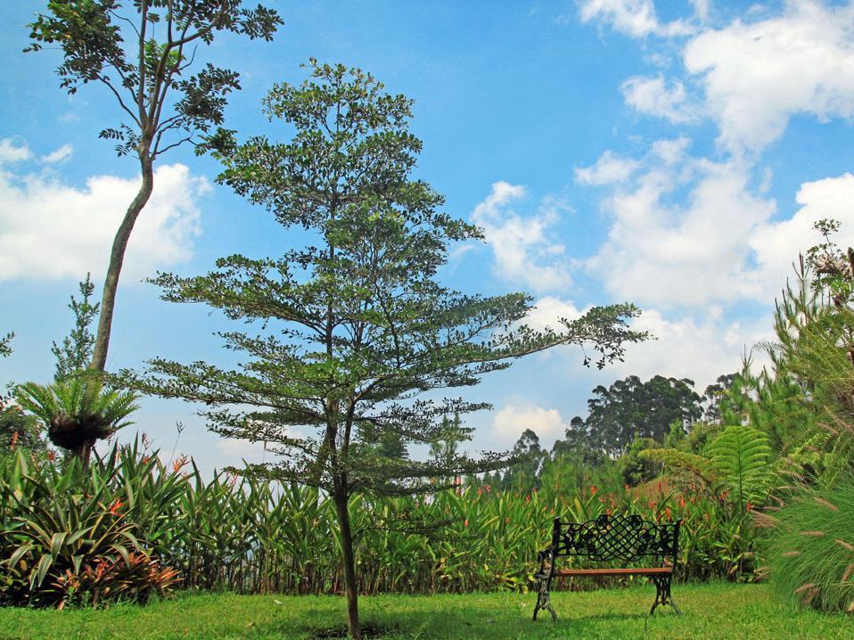 Hotel Kastuba Bandung